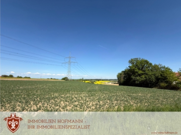 Interessante Gelegenheit für Landwirte und Investoren – Ackerfläche in Hackerskofen, 84177 Gottfrieding, Land-/Forstwirtschaft