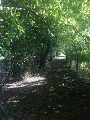 *** Einzigartiges Naturparadies: Ihr privates Freizeitgrundstück direkt an der Moosach! ***, 85376 Neufahrn bei Freising, Freizeit